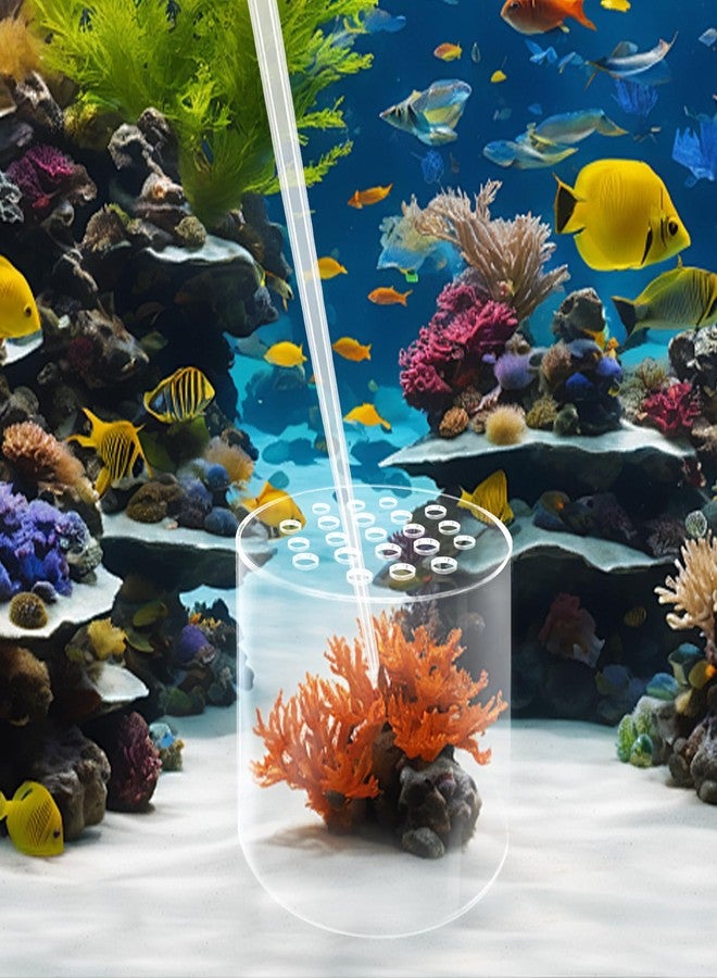 Saricho Coral Reef Feeding Cover Kits, Transparent - Image 3